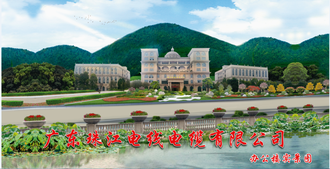 宝武钢铁集团领导专家莅临PA视讯集团官网电缆参观交流