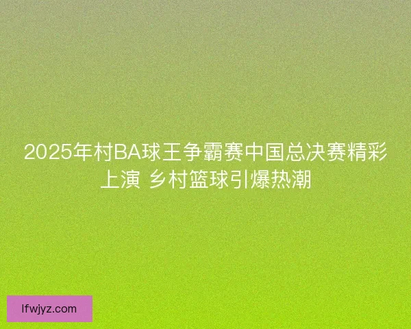 2025年村BA球王争霸赛中国总决赛精彩上演 乡村篮球引爆热潮