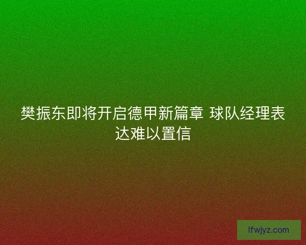 樊振东即将开启德甲新篇章 球队经理表达难以置信