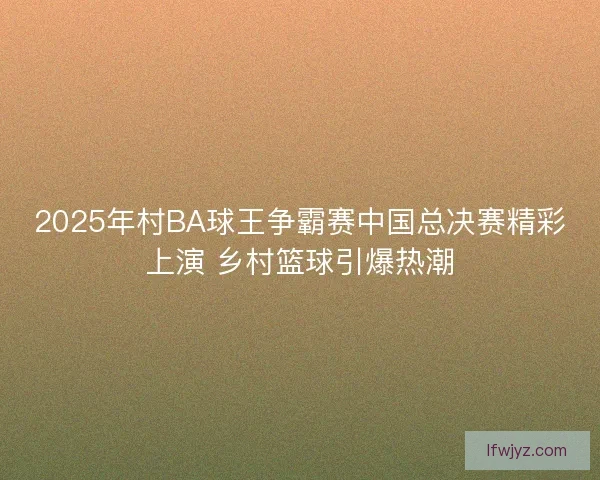 2025年村BA球王争霸赛中国总决赛精彩上演 乡村篮球引爆热潮